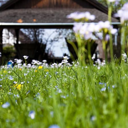 Отель Haus Schlesien Кёнигсвинтер Экстерьер фото